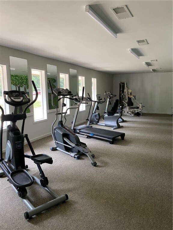 workout area with carpet flooring