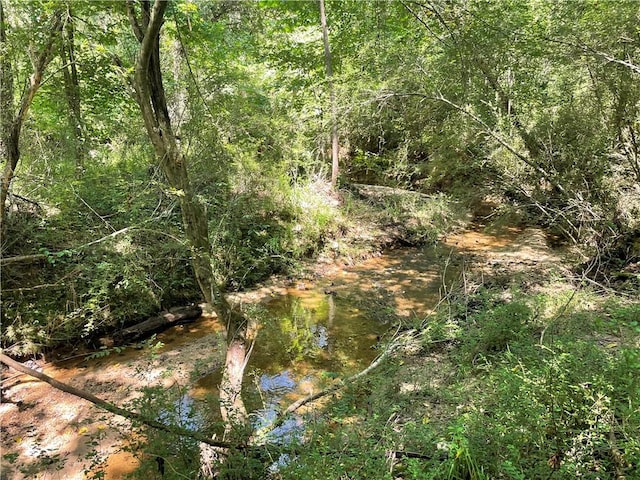 300 Oak Tree Dr, Honea Path, SC 29654