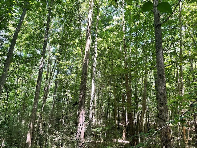 300 Oak Tree Dr, Honea Path, SC 29654