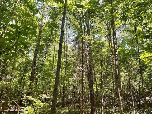 300 Oak Tree Dr, Honea Path, SC 29654
