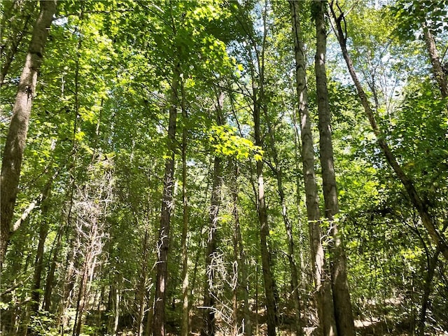 300 Oak Tree Dr, Honea Path, SC 29654