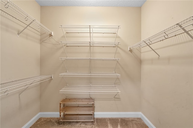 spacious closet with carpet