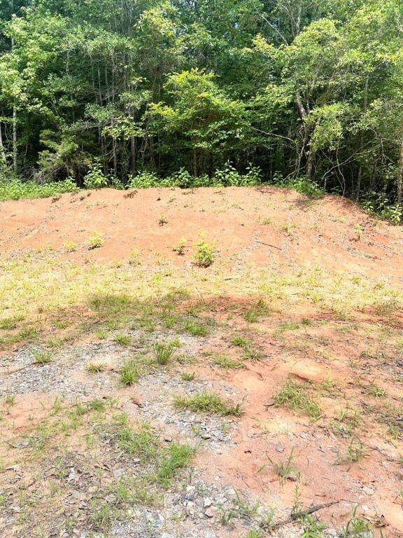 0 Nance Rd, Abbeville, SC 29620 - photo 18