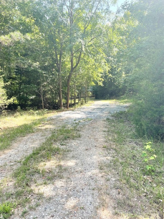 0 Nance Rd, Abbeville, SC 29620 - photo 19