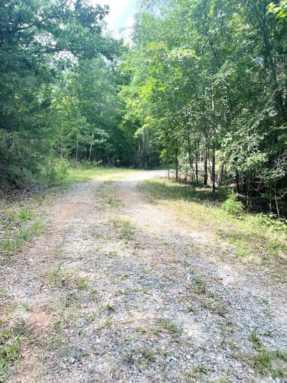 0 Nance Rd, Abbeville, SC 29620 - photo 21