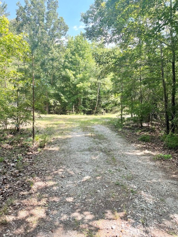 0 Nance Rd, Abbeville, SC 29620 - photo 22