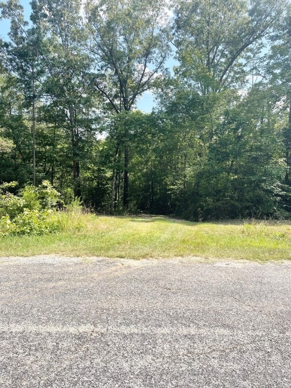 0 Nance Rd, Abbeville, SC 29620 - photo 23
