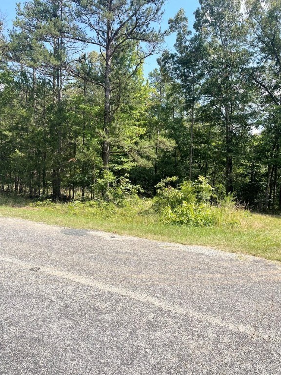 0 Nance Rd, Abbeville, SC 29620 - photo 24