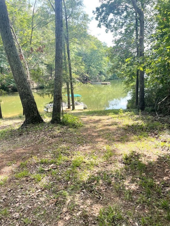 0 Nance Rd, Abbeville, SC 29620 - photo 5