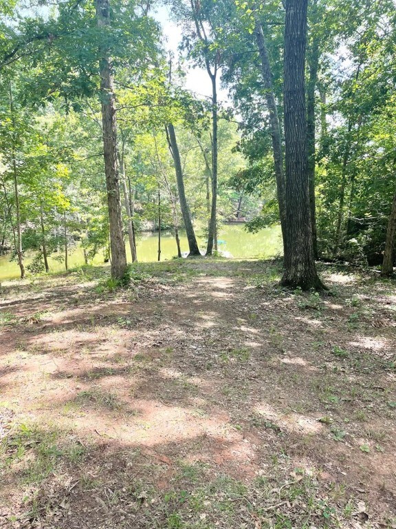 0 Nance Rd, Abbeville, SC 29620 - photo 10