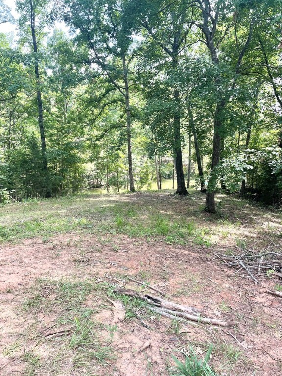 0 Nance Rd, Abbeville, SC 29620 - photo 11