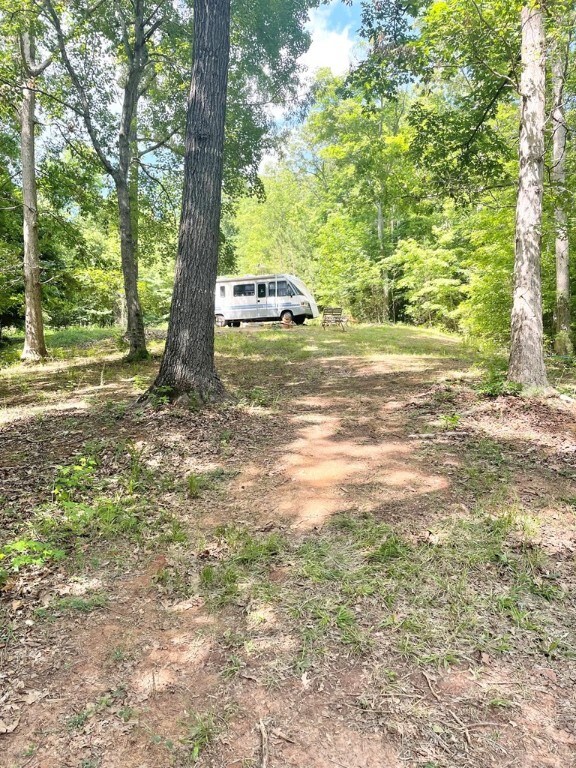 0 Nance Rd, Abbeville, SC 29620 - photo 14