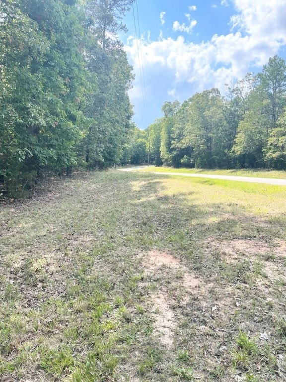 0 Nance Rd, Abbeville, SC 29620 - photo 15