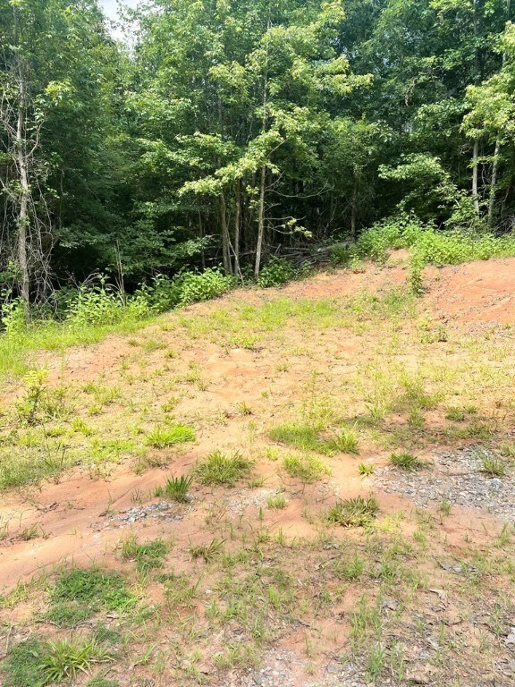 0 Nance Rd, Abbeville, SC 29620 - photo 17
