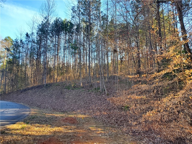 LOT28 Talons Ridge Rd, Seneca SC, 29672 land for sale