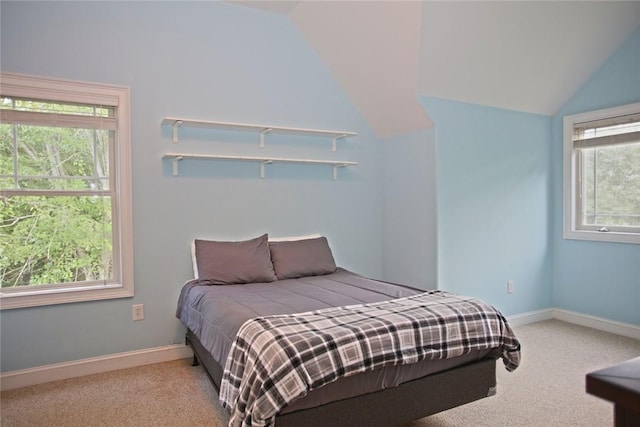 302 Meadowlark Ln, Seneca, SC 29672 - photo 30