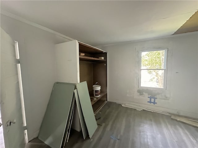 interior space with hardwood / wood-style flooring and crown molding