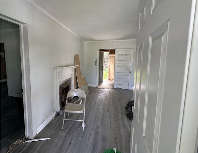 living room featuring ornamental molding and dark hardwood / wood-style flooring