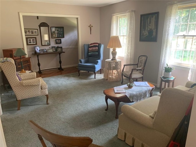 living area with carpet and a healthy amount of sunlight