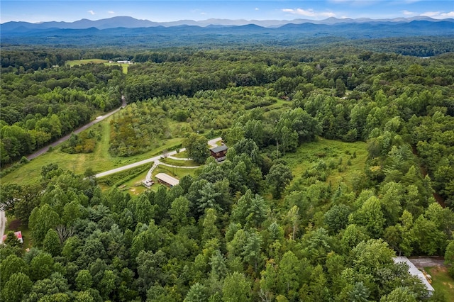 birds eye view of property with a mountain view