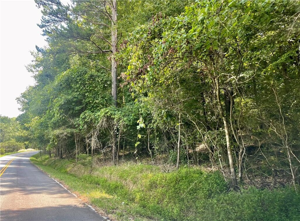 00 Spake Rd Lot C, Lot C, Pendleton, SC 29670 - photo 1