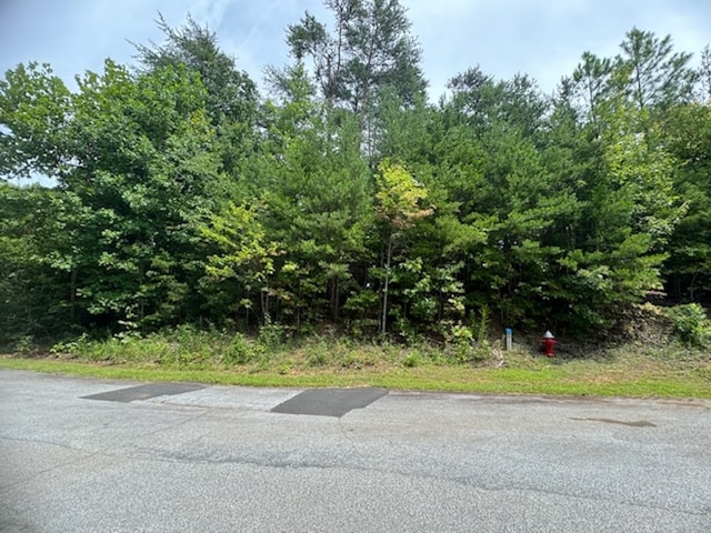 266 Jocassee Ridge Way, Salem SC, 29676 land for sale