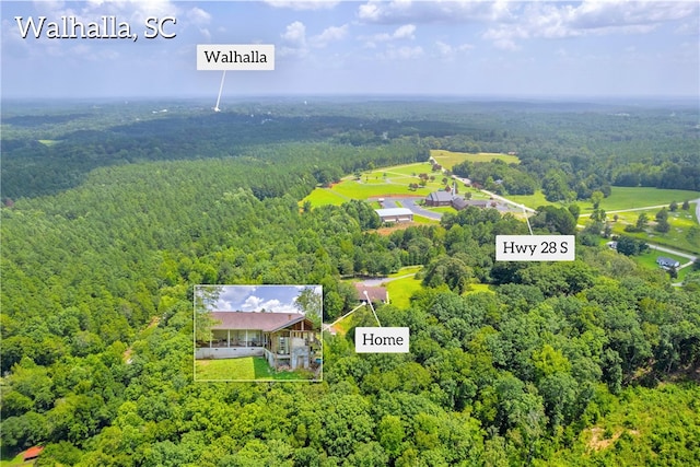 545 Knollington Dr, Walhalla, SC 29691 - photo 44