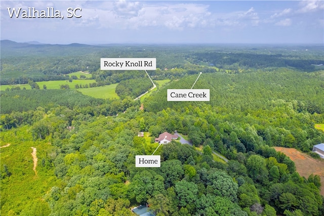 545 Knollington Dr, Walhalla, SC 29691 - photo 46
