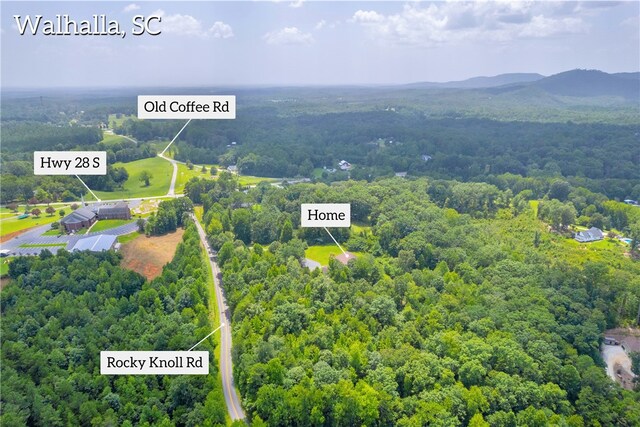 545 Knollington Dr, Walhalla, SC 29691 - photo 48