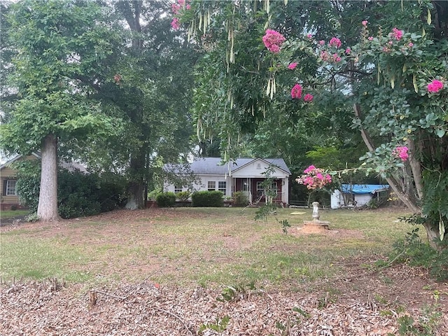 214 Summey St, Clemson, SC 29631 - photo 4