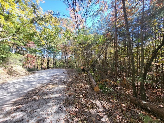 00 Persimmon Ridge Rd, Cleveland SC, 29635 land for sale