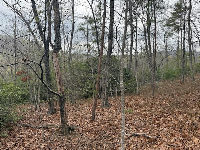 00 Marble Branch Trl, Walhalla, SC 29691