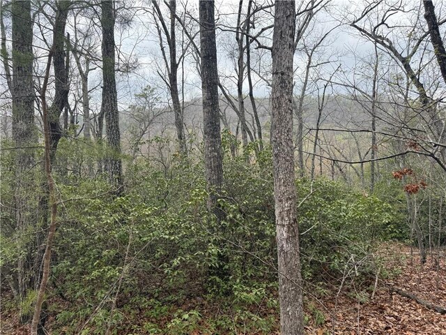 00 Marble Branch Trl, Walhalla, SC 29691