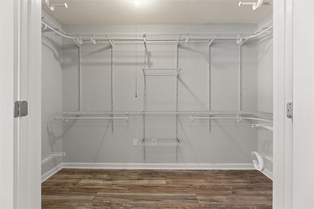 walk in closet featuring wood finished floors