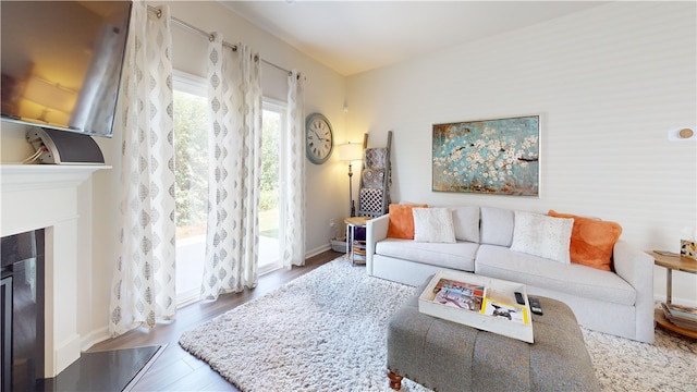 living room with wood-type flooring