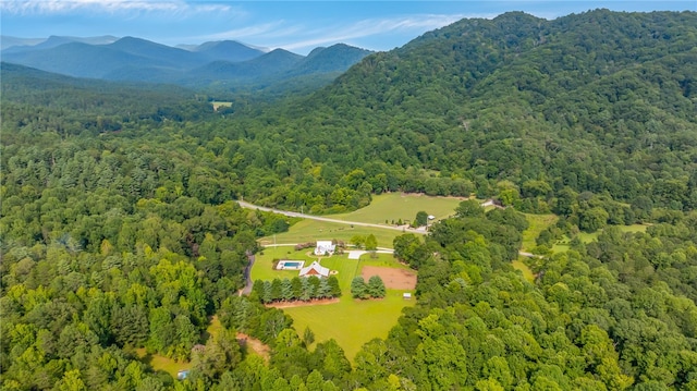 drone / aerial view featuring a mountain view