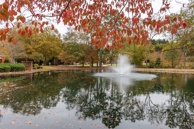 property view of water