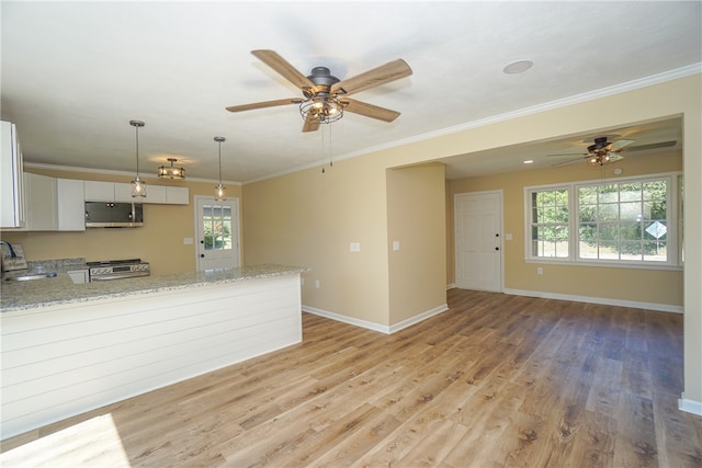 606 N Catherine St, Walhalla, SC 29691 - kitchen with appliances with stainless steel finishes, a ceiling fan, crown molding, light wood-type flooring, and light stone counters