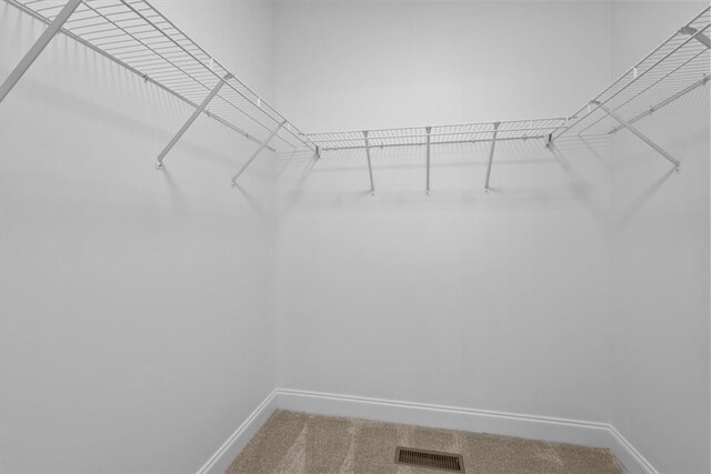 walk in closet featuring carpet