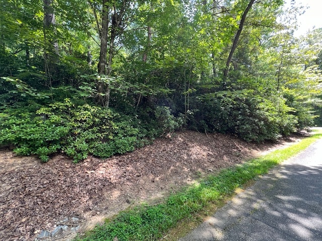 Listing photo 2 for LOT71 Edgewater Pt, Salem SC 29676