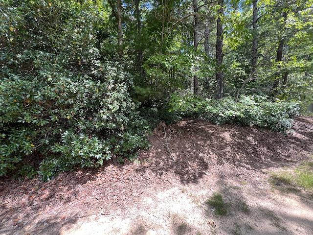 LOT71 Edgewater Pt, Salem, SC 29676 - photo 4