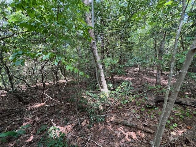 LOT71 Edgewater Pt, Salem, SC 29676 - photo 5