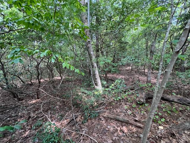 LOT71 Edgewater Pt, Salem, SC 29676 - photo 6