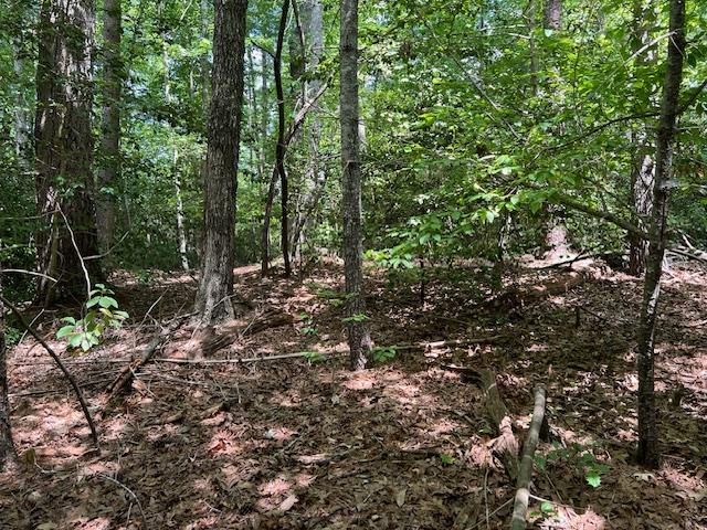 LOT71 Edgewater Pt, Salem, SC 29676 - photo 8