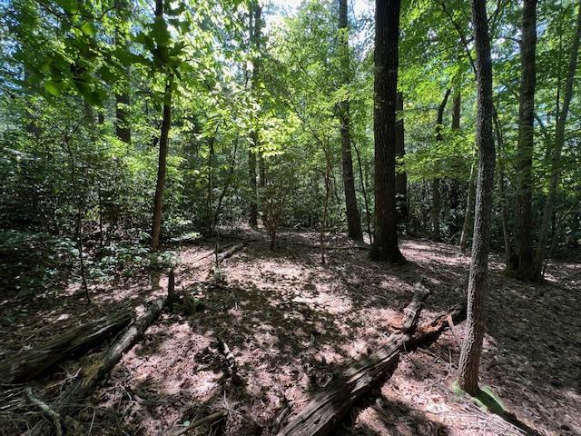 LOT71 Edgewater Pt, Salem, SC 29676 - photo 9
