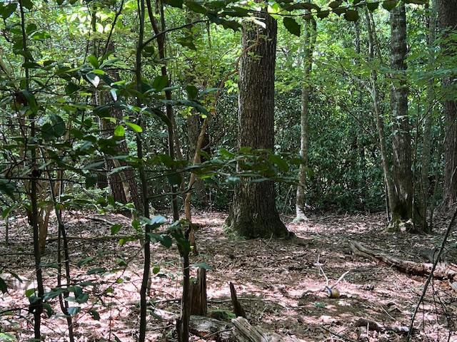 LOT71 Edgewater Pt, Salem, SC 29676 - photo 10