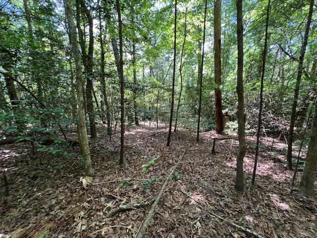 LOT71 Edgewater Pt, Salem, SC 29676 - photo 11