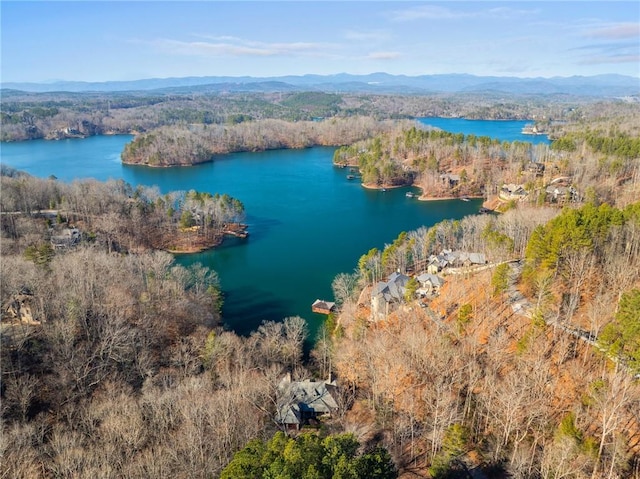 604 Top Ridge Dr, Sunset, SC 29685 - aerial view featuring a water and mountain view and a view of trees