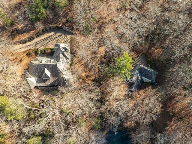 604 Top Ridge Dr, Sunset, SC 29685 - aerial view