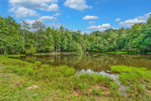 143 George Merck Rd, Anderson, SC 29626